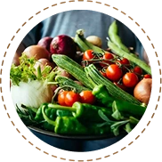 Plant-Based Nutrients